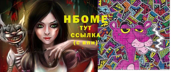 индика Щучье